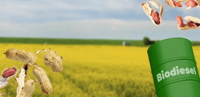 Acordos firmados com Filipinas, Guatemala e Nicarágua, Brasil abre 496 mercados desde 2023