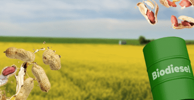 Acordos firmados com Filipinas, Guatemala e Nicarágua, Brasil abre 496 mercados desde 2023